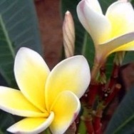 王玉根诗歌专辑